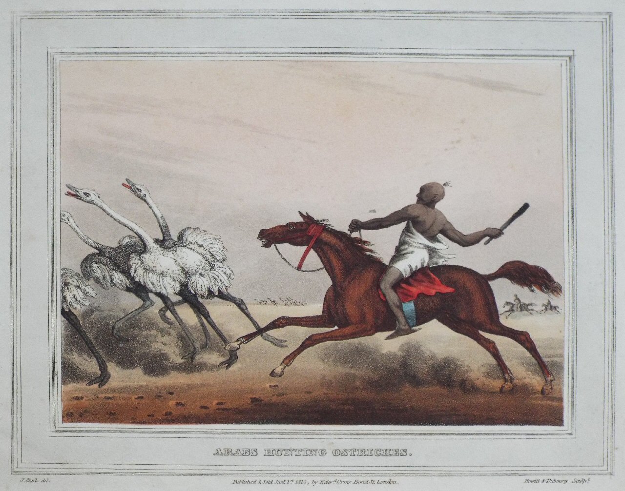 Aquatint - Arabs Hunting Ostriches. - Howitt